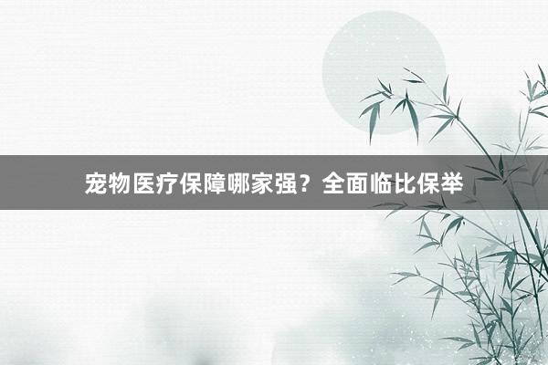 宠物医疗保障哪家强?全面临比保举